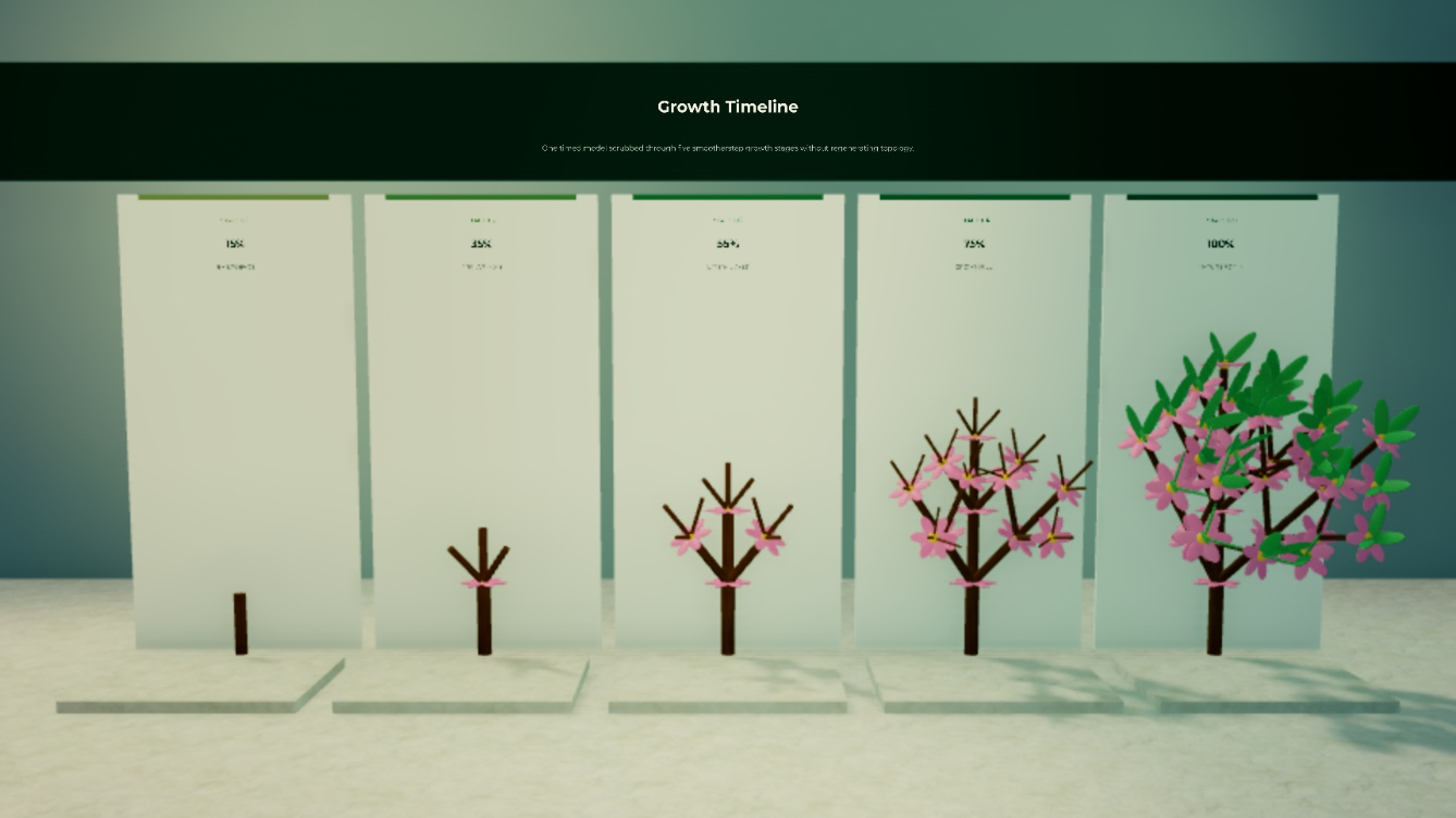 Five deterministic stages of one generated plant