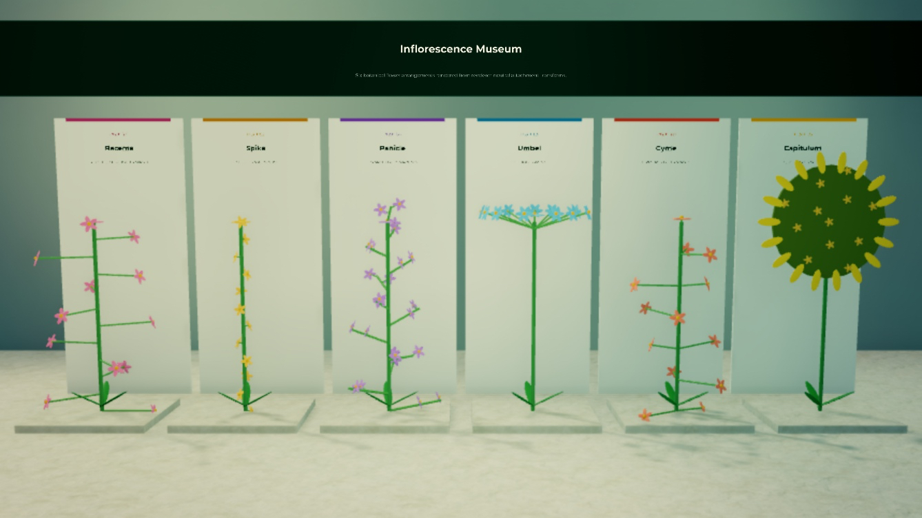 Six generated inflorescence architectures